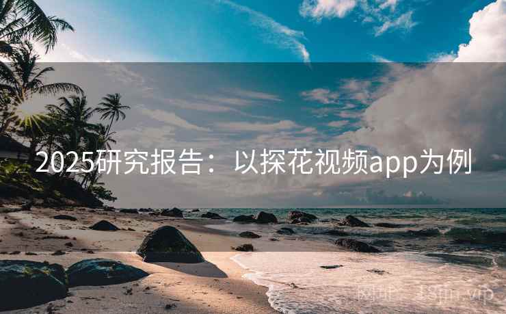 2025研究报告：以探花视频app为例