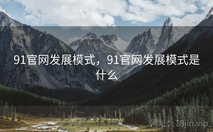91官网发展模式，91官网发展模式是什么  第2张