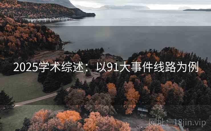 2025学术综述：以91大事件线路为例