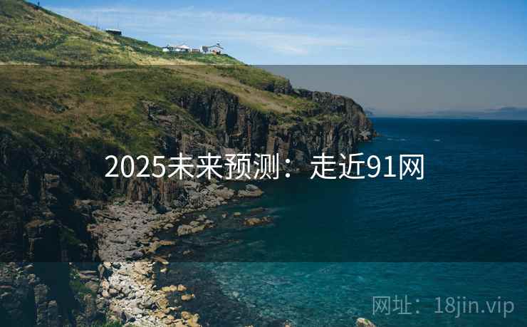2025未来预测：走近91网