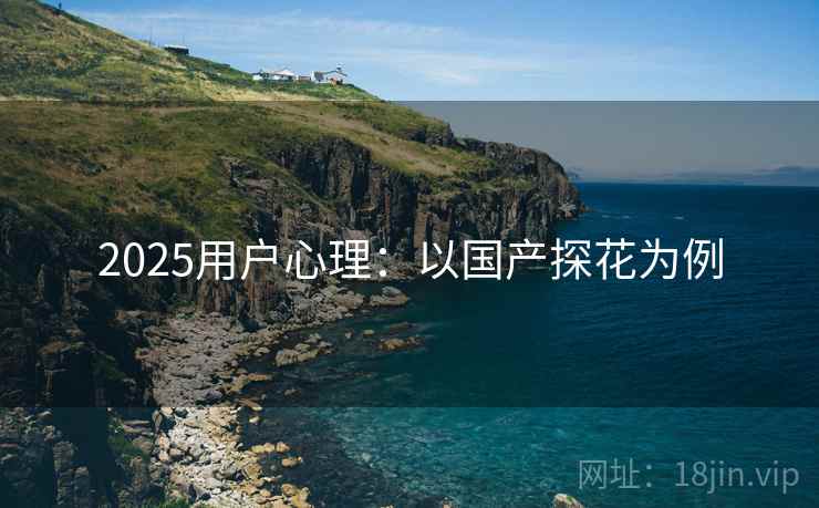 2025用户心理：以国产探花为例  第2张