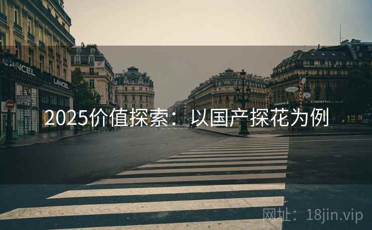 2025价值探索：以国产探花为例