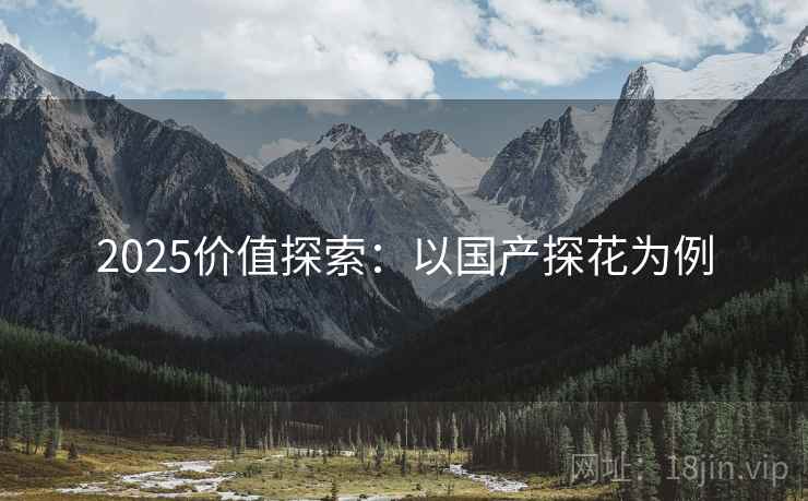 2025价值探索：以国产探花为例