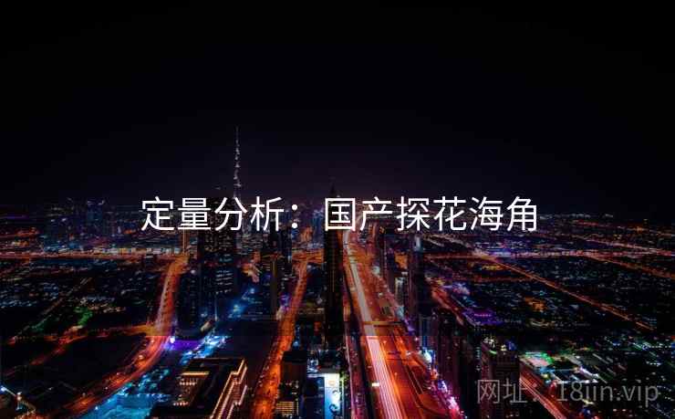 定量分析：国产探花海角
