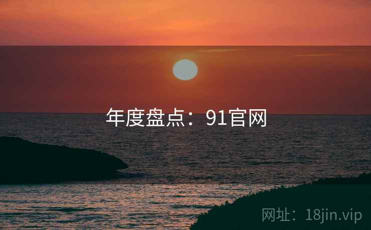 年度盘点：91官网