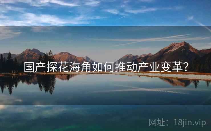 国产探花海角如何推动产业变革？