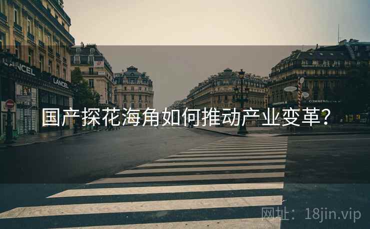 国产探花海角如何推动产业变革？