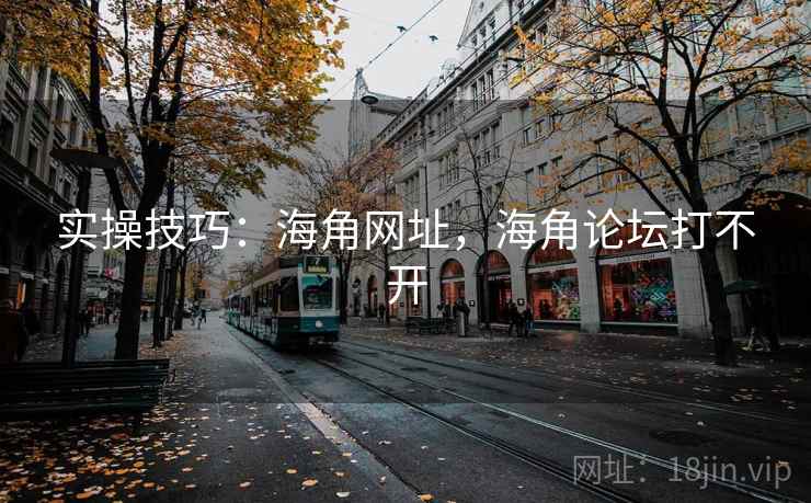 实操技巧：海角网址，海角论坛打不开
