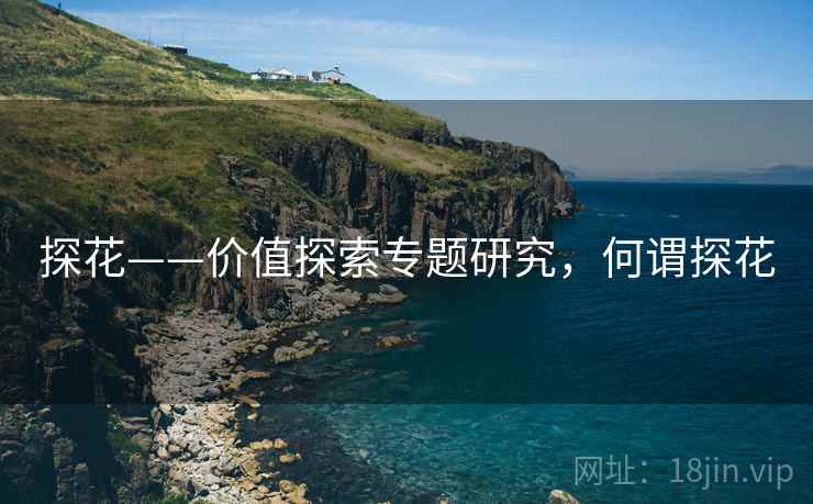 探花——价值探索专题研究，何谓探花