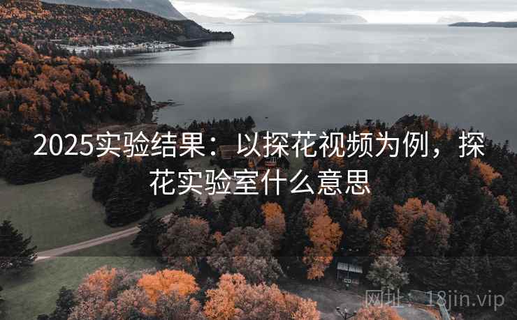 2025实验结果：以探花视频为例，探花实验室什么意思