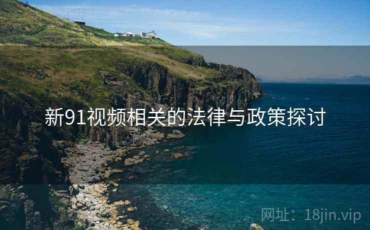 新91视频相关的法律与政策探讨