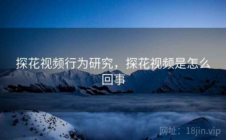 探花视频行为研究，探花视频是怎么回事  第2张