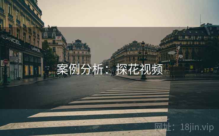 案例分析：探花视频