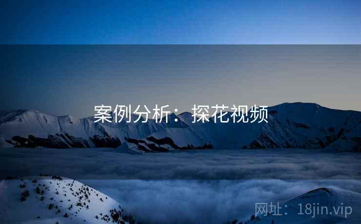 案例分析：探花视频