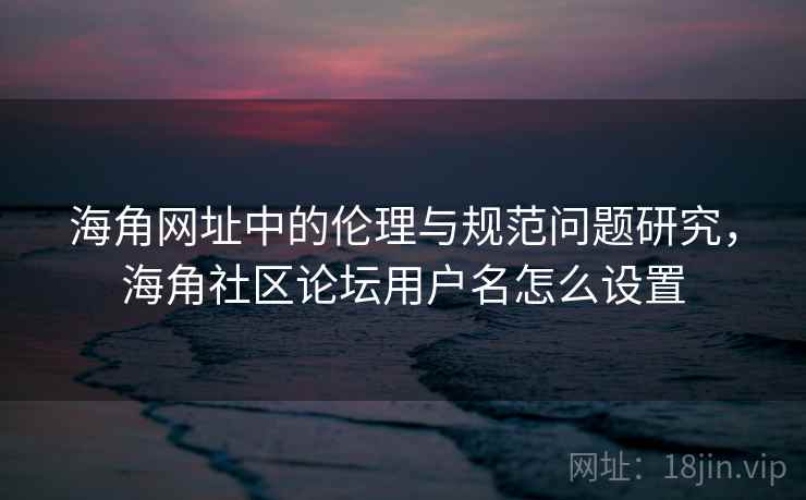海角网址中的伦理与规范问题研究，海角社区论坛用户名怎么设置
