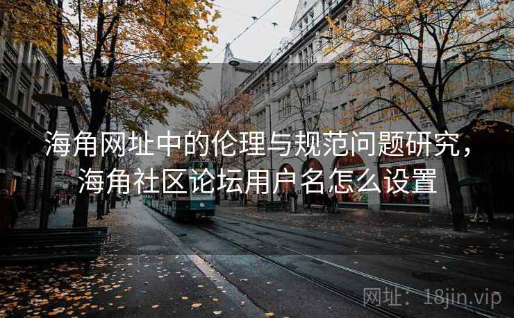 海角网址中的伦理与规范问题研究，海角社区论坛用户名怎么设置