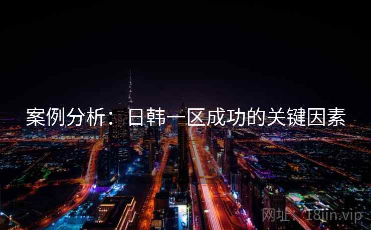 案例分析：日韩一区成功的关键因素