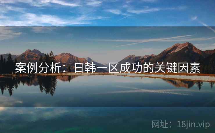 案例分析：日韩一区成功的关键因素