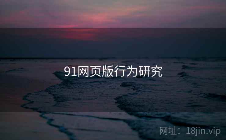 91网页版行为研究