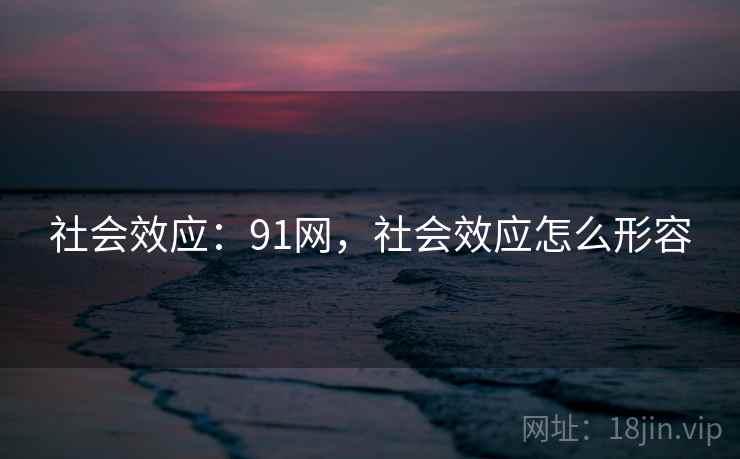 社会效应：91网，社会效应怎么形容