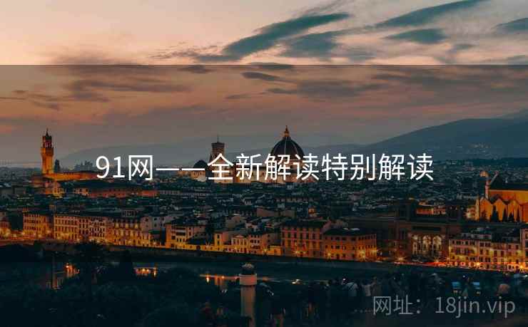 91网——全新解读特别解读  第2张