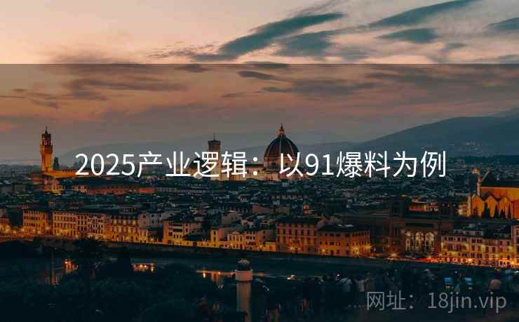 2025产业逻辑：以91爆料为例