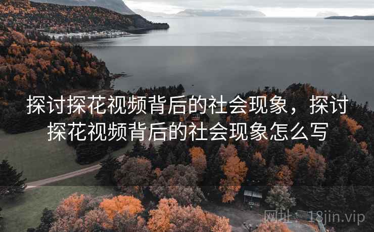 探讨探花视频背后的社会现象，探讨探花视频背后的社会现象怎么写