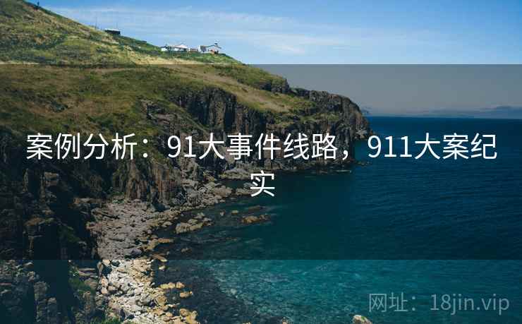 案例分析：91大事件线路，911大案纪实