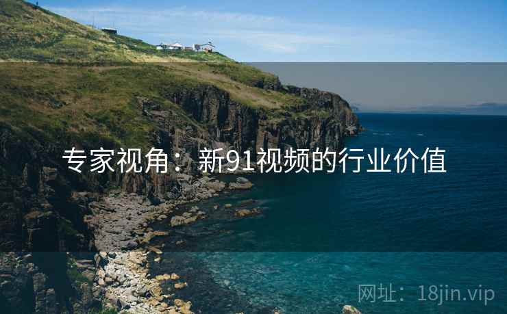 专家视角：新91视频的行业价值