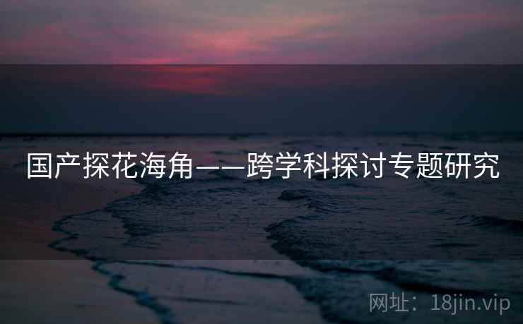 国产探花海角——跨学科探讨专题研究