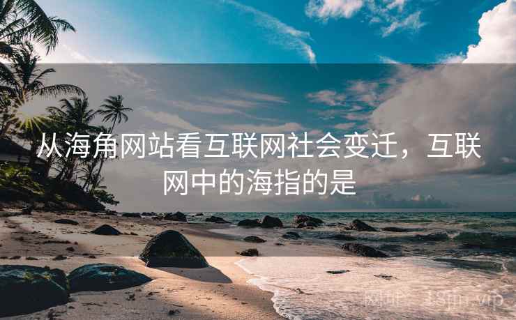从海角网站看互联网社会变迁，互联网中的海指的是