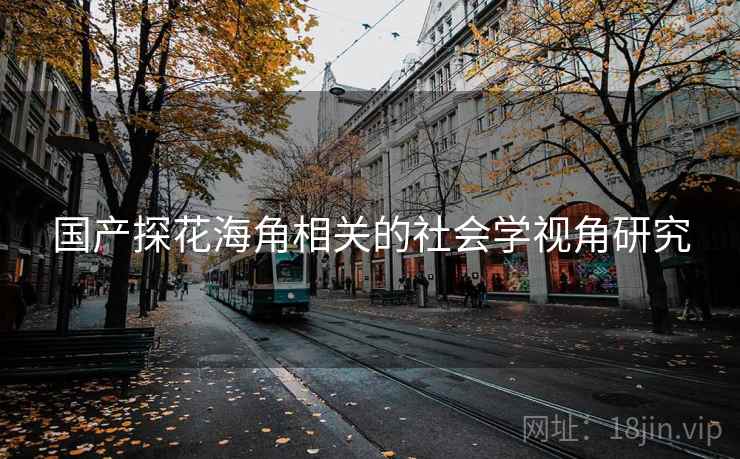 国产探花海角相关的社会学视角研究