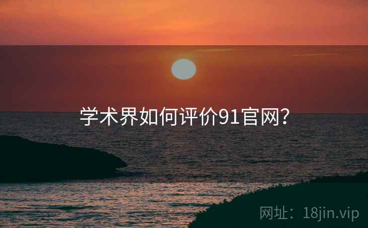 学术界如何评价91官网？