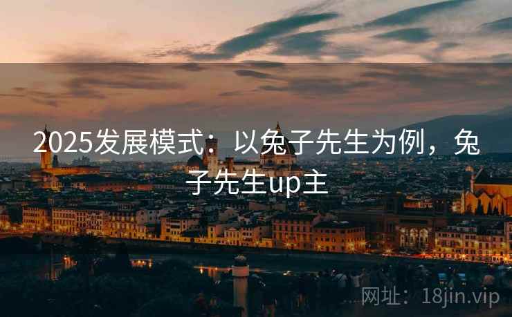 2025发展模式：以兔子先生为例，兔子先生up主