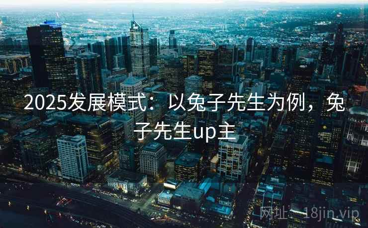 2025发展模式：以兔子先生为例，兔子先生up主