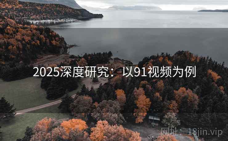 2025深度研究：以91视频为例