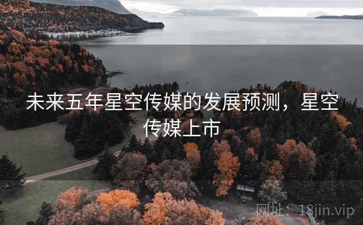 未来五年星空传媒的发展预测，星空传媒上市