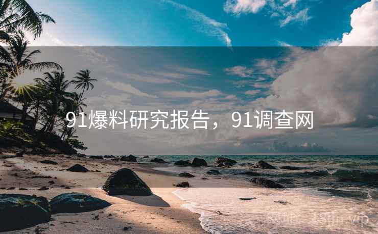 91爆料研究报告，91调查网