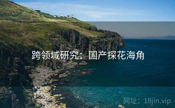 跨领域研究：国产探花海角