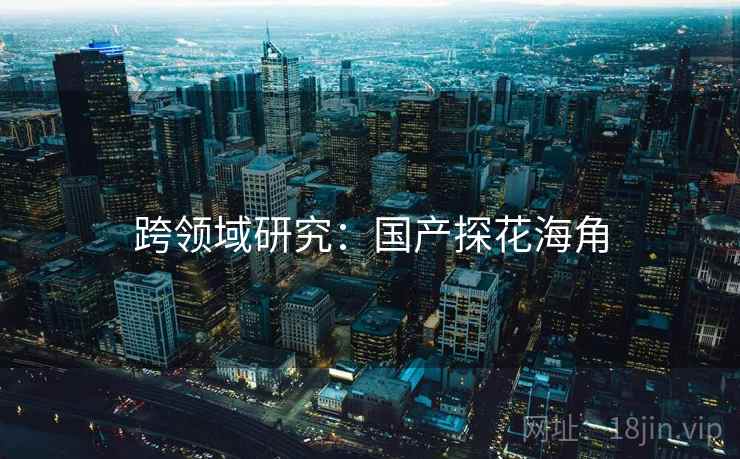 跨领域研究：国产探花海角