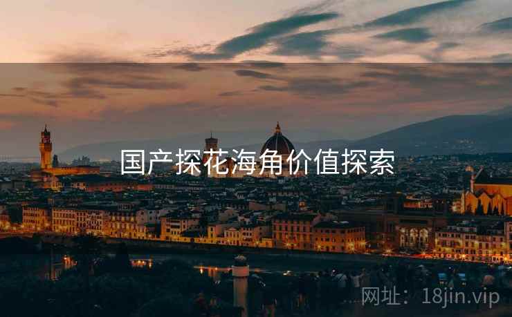 国产探花海角价值探索