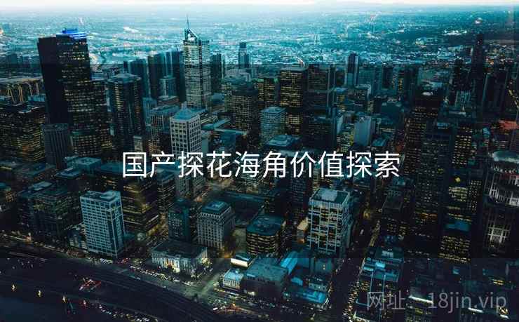 国产探花海角价值探索