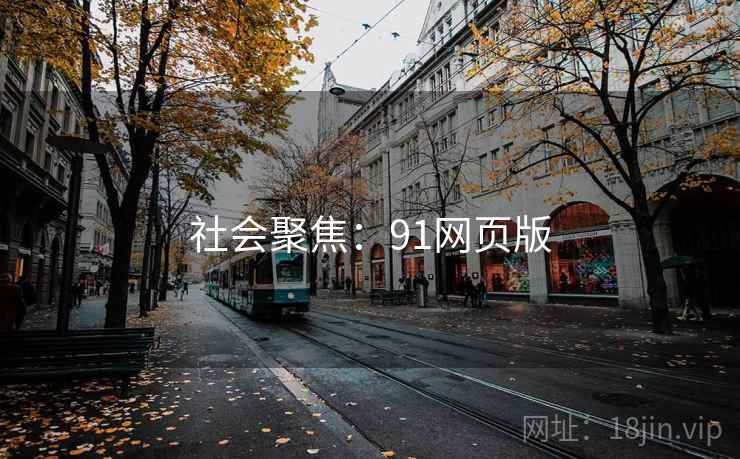 社会聚焦：91网页版