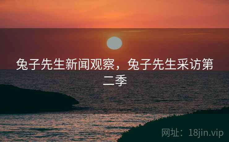 兔子先生新闻观察，兔子先生采访第二季