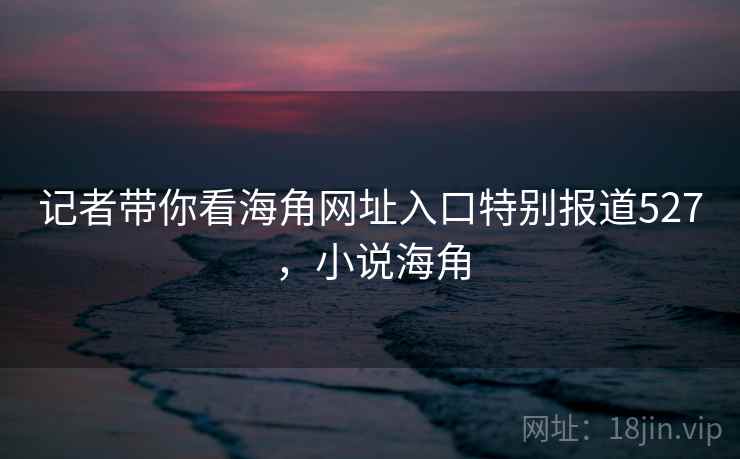 记者带你看海角网址入口特别报道527，小说海角