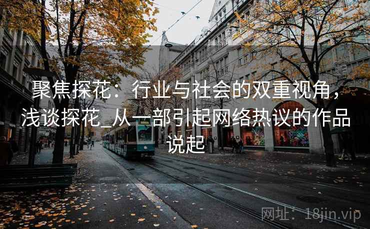 聚焦探花：行业与社会的双重视角，浅谈探花_从一部引起网络热议的作品说起