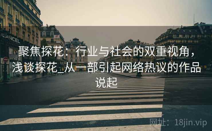 聚焦探花：行业与社会的双重视角，浅谈探花_从一部引起网络热议的作品说起