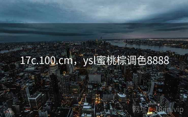 17c.100.cm，ysl蜜桃棕调色8888