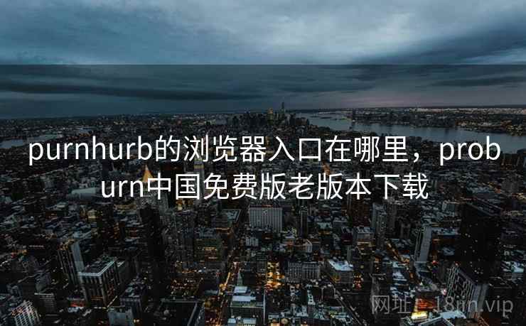 purnhurb的浏览器入口在哪里，proburn中国免费版老版本下载