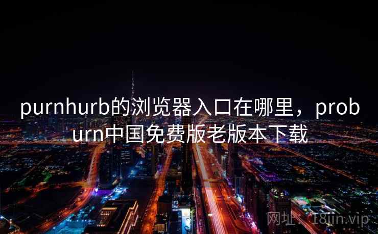 purnhurb的浏览器入口在哪里，proburn中国免费版老版本下载
